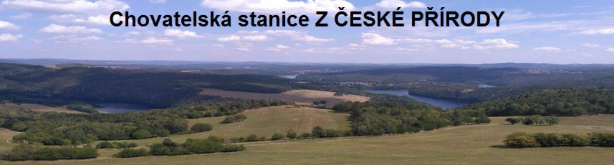 www.zceskeprirody.cz